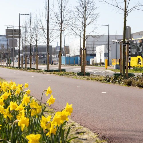 20210329 HOV Dichterswijk 003-020.jpg