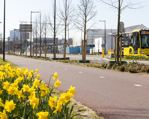 20210329 HOV Dichterswijk 003-020.jpg